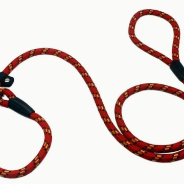 Laisse à chien Lasso rouge