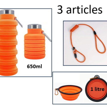 Kit pour chien 3 articles 1l (1)